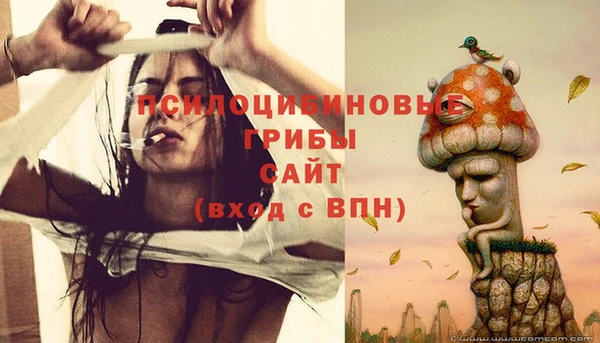сатива Белоозёрский