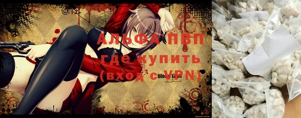 круглые Белокуриха