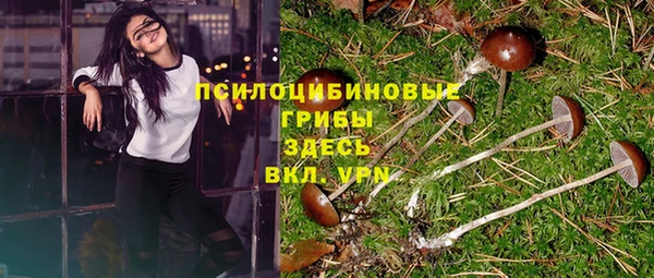 сатива Белоозёрский